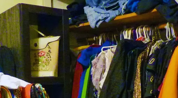 Organize Your Wardrobe with Clusters, Clothing Dividers, and More | MWS